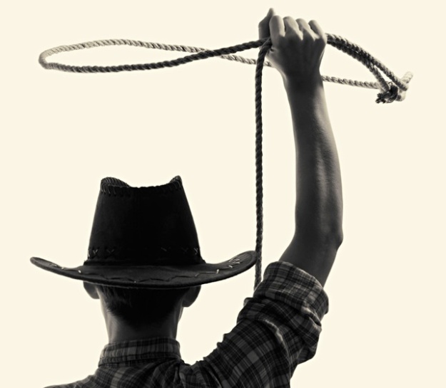 cowboy-round-up-cropped